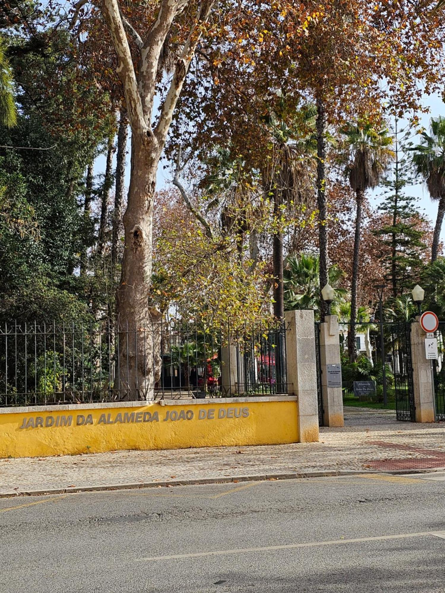 Casa Jasmim Apartment Faro Exterior photo